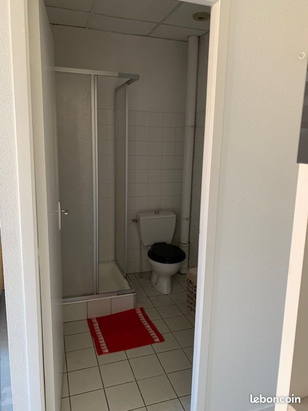 Appartement à louer, 20m², Saint-Etienne