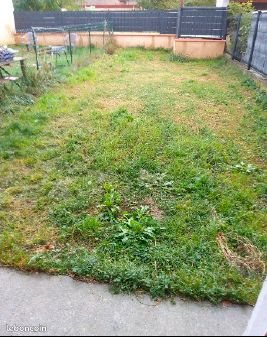 Maison à louer, 58m², Villefranche-d'Albigeois