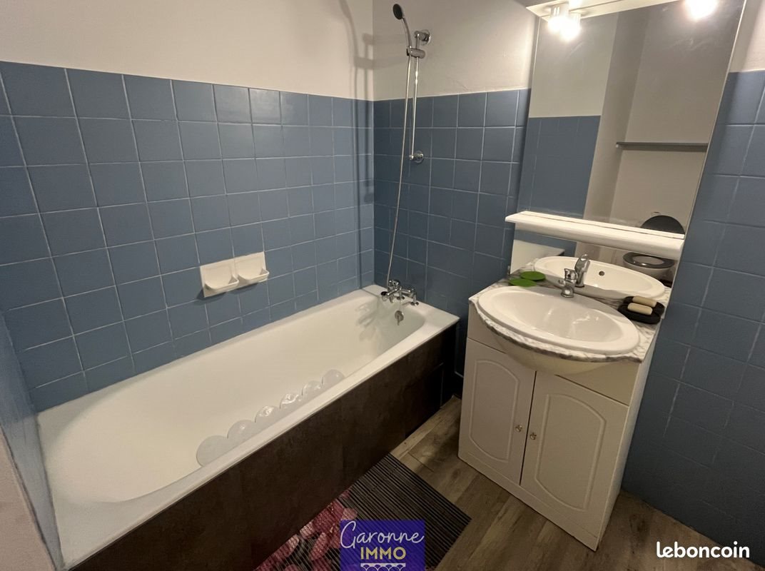 Appartement à louer, 27m², Tonneins