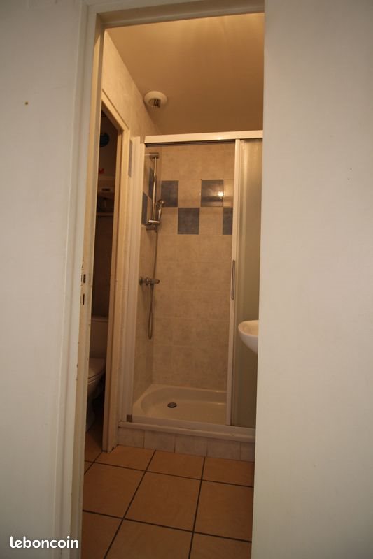 Appartement à louer, 38m², Saint-Etienne