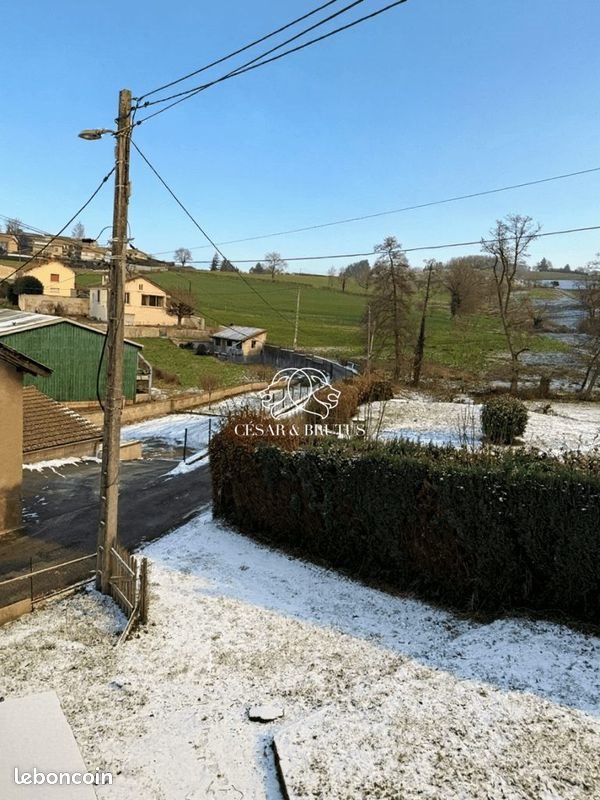 Appartement à vendre, 160m², Amplepuis