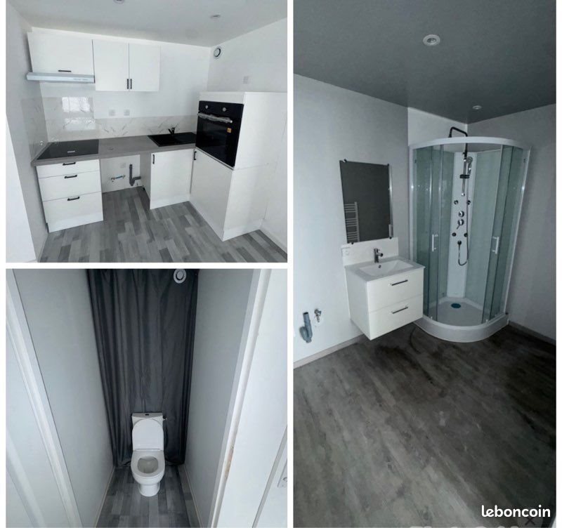 Appartement à louer, 50m², Trept