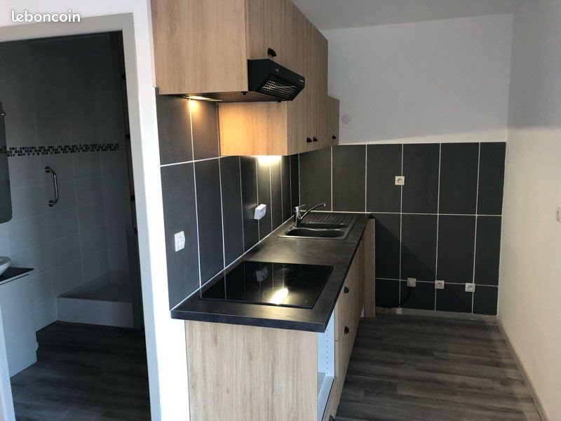 Appartement à louer, 32m², Feurs