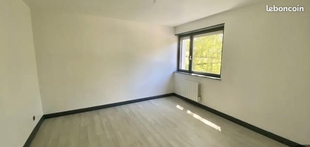 Appartement à louer, 55m², Niederbronn-les-Bains
