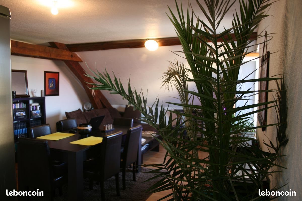 Appartement à louer, 46m², Cravanche