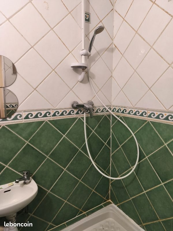 Appartement à louer, 20m², Lille