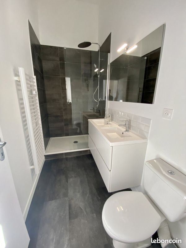 Appartement à louer, 45m², Saint-Etienne