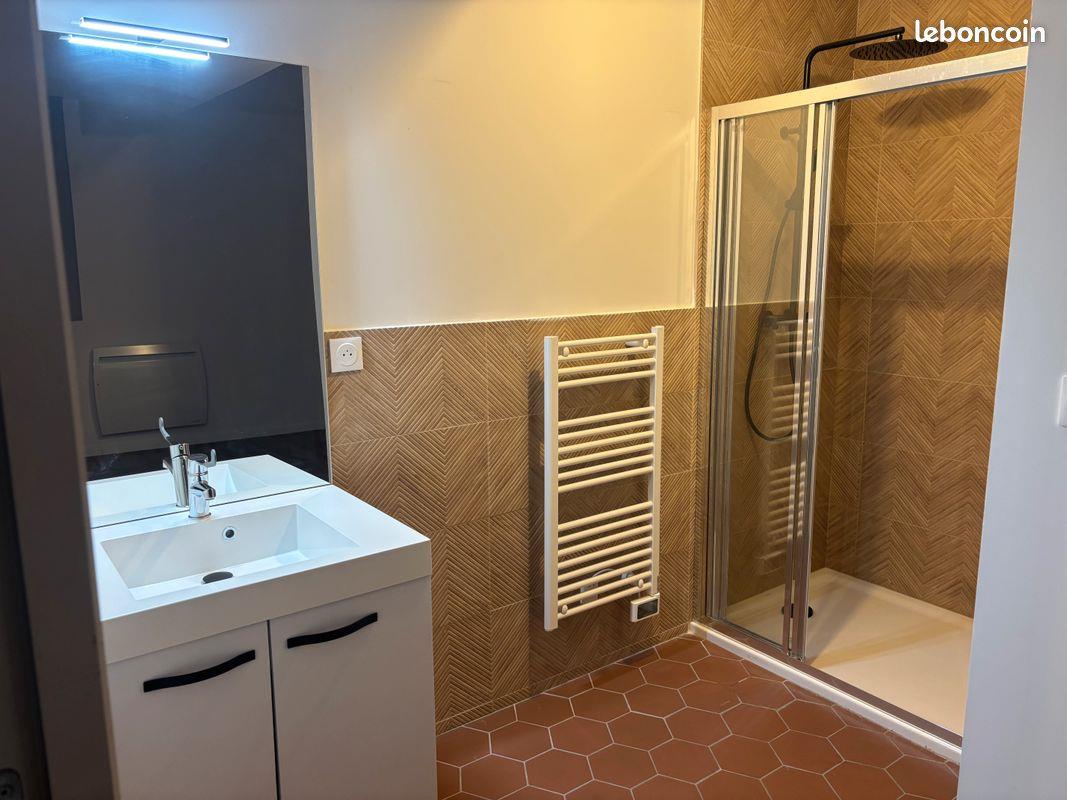 Appartement à louer, 52m², Rabastens