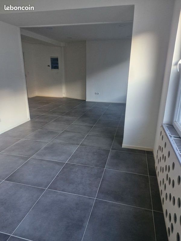 Appartement à louer, 104m², Scionzier