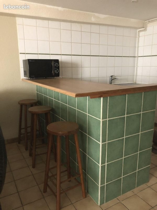 Appartement à louer, 29m², Saint-Etienne