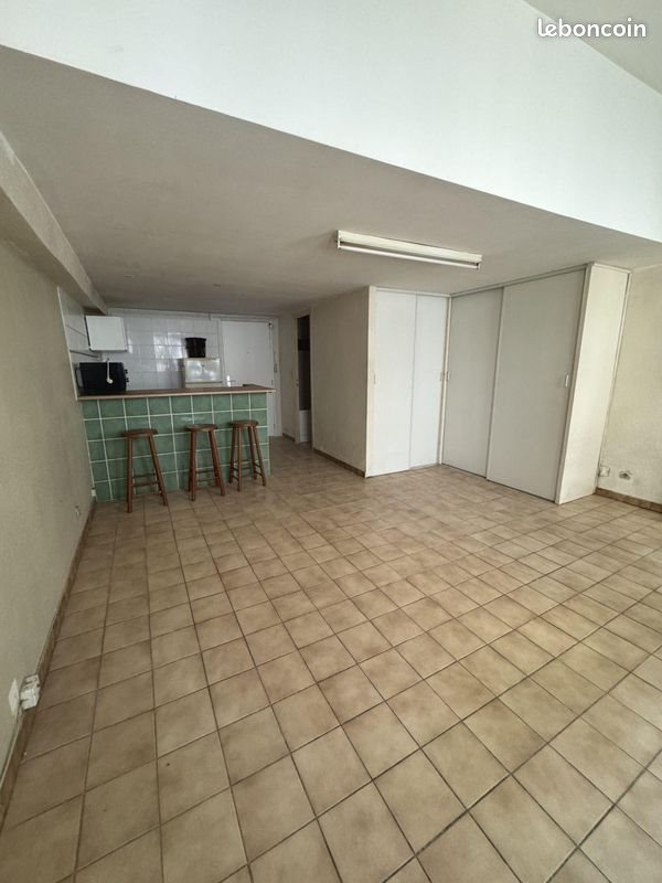 Appartement à louer, 29m², Saint-Etienne