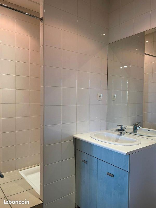 Appartement à louer, 35m², Saint-Etienne