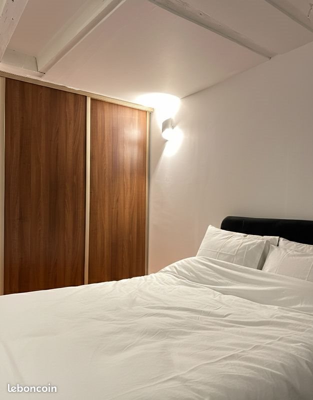 Appartement à louer, 53m², Saint-Etienne