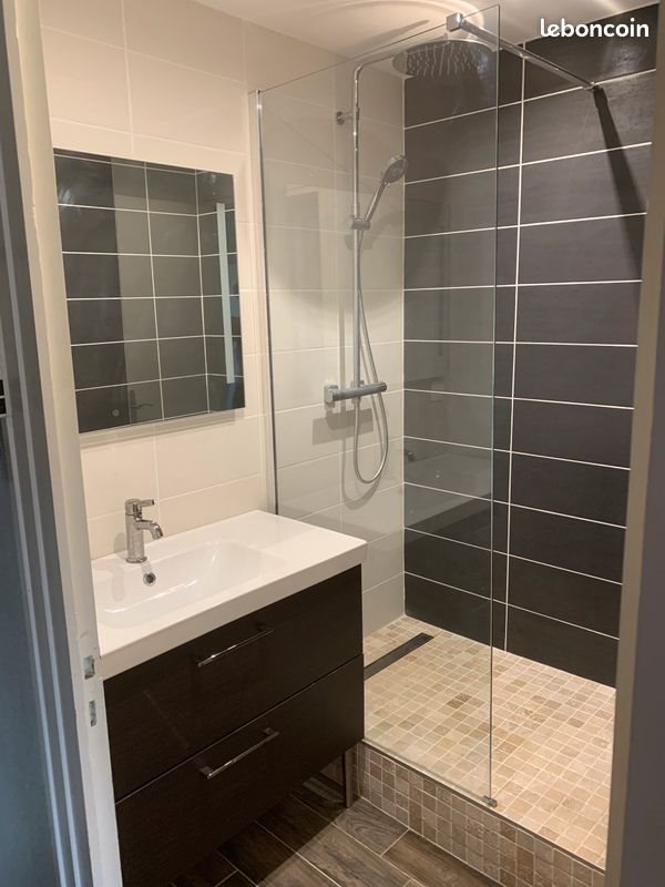 Appartement à louer, 47m², Saint-Etienne