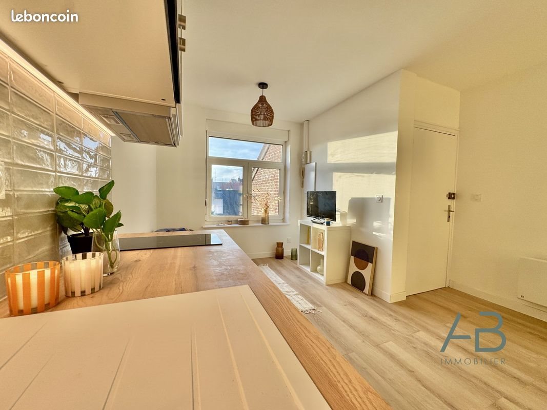 Appartement à vendre, 28m², Lille