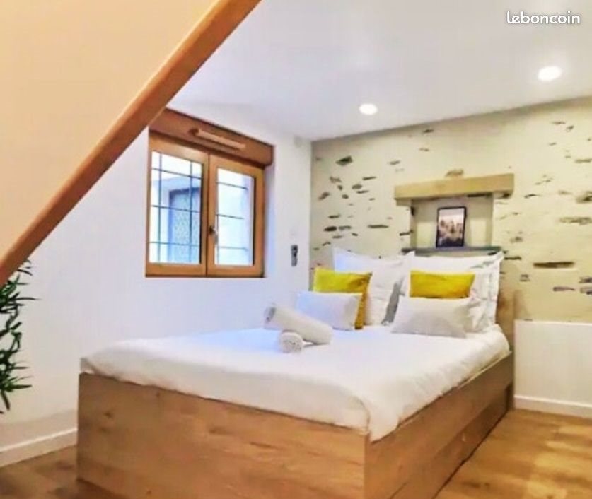 Appartement à louer, 180m², Angers