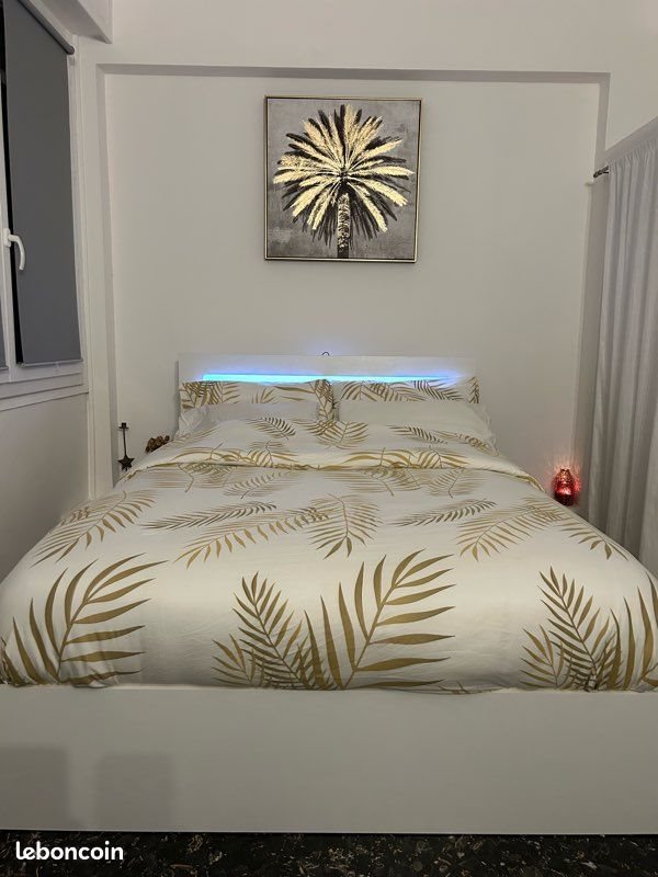 Appartement à louer, 22m², Nice