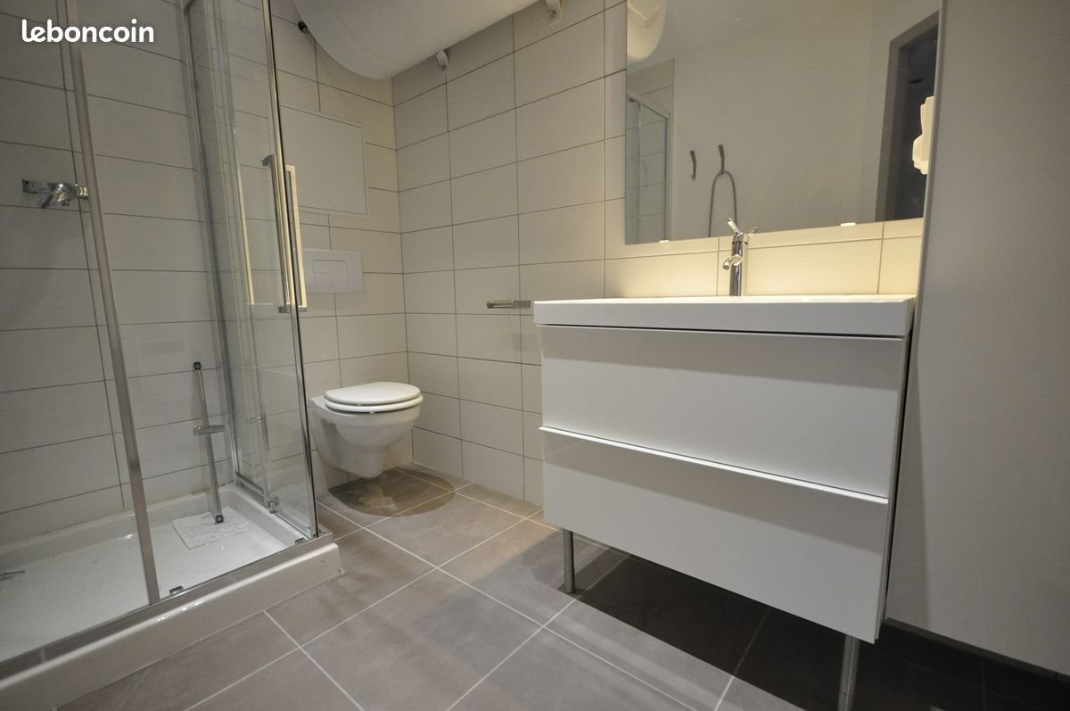 Appartement à louer, 40m², La Motte-Servolex