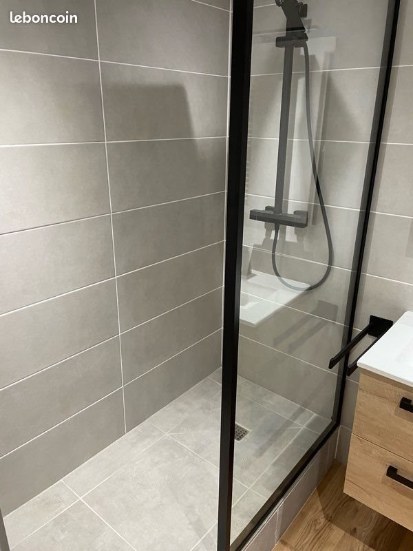 Appartement à louer, 51m², Saint-Etienne