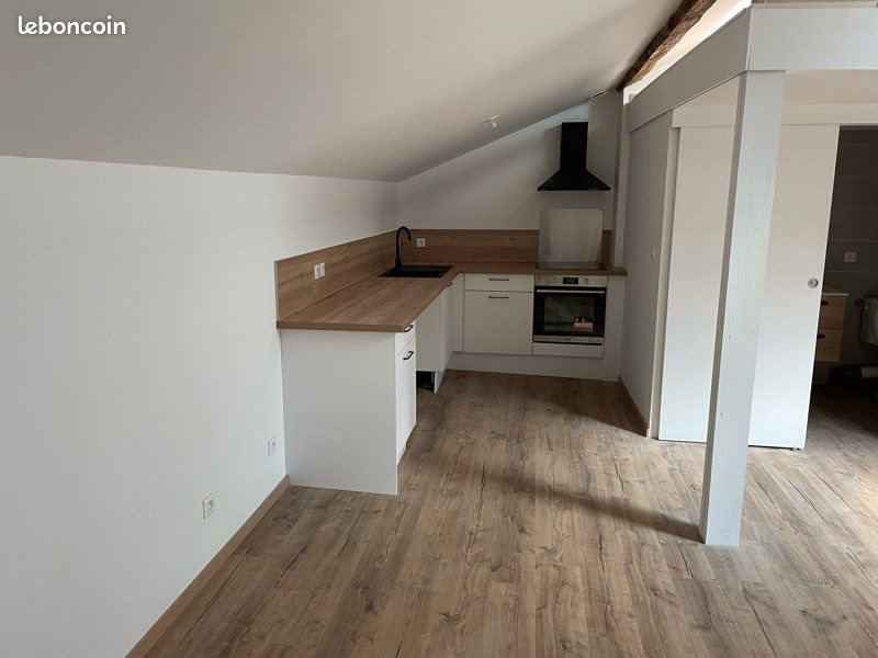 Appartement à louer, 51m², Saint-Etienne