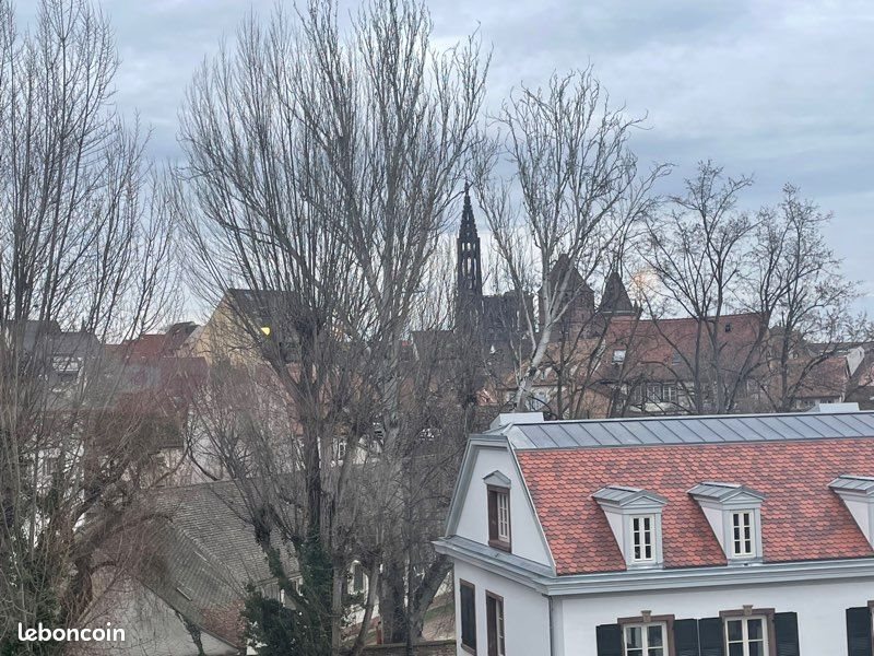 Appartement à louer, 30m², Strasbourg