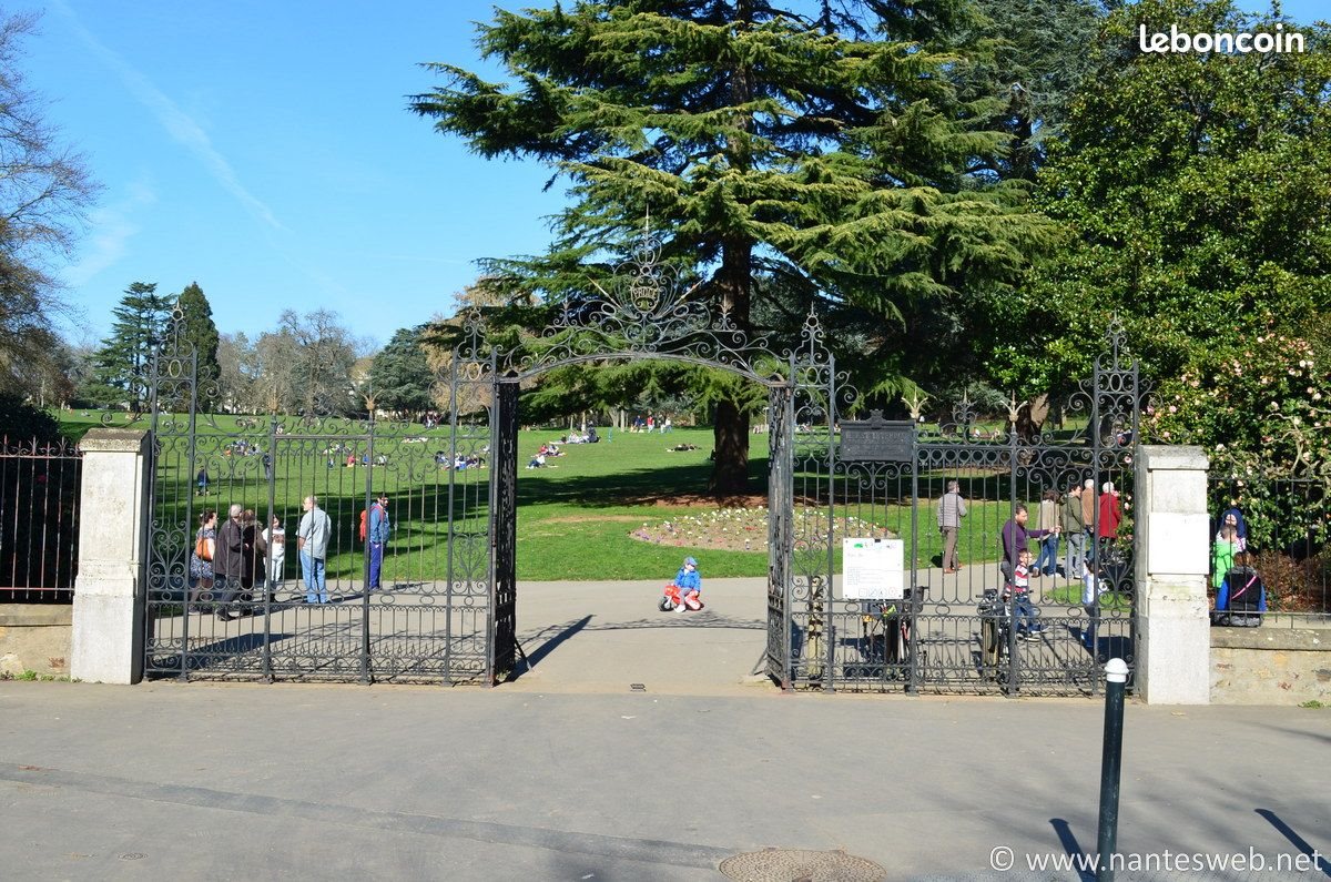 Appartement à louer, 19m², Nantes