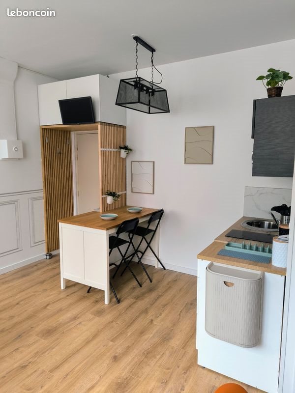Appartement à louer, 22m², Saint-Etienne