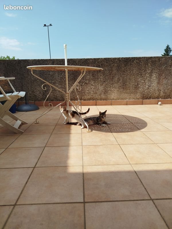 Appartement à vendre, 46m², Bourg-de-Péage