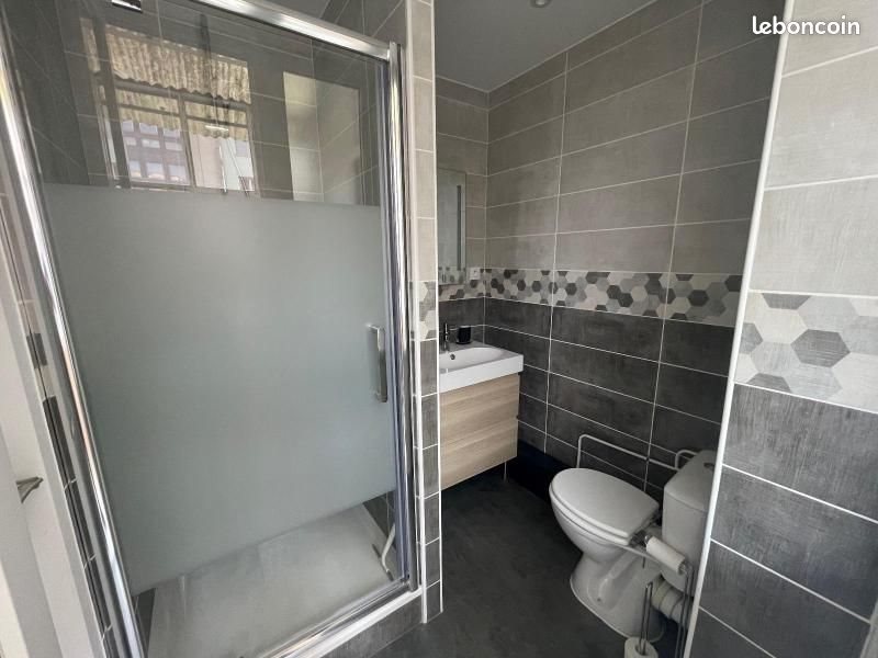 Appartement à louer, 42m², Saint-Etienne