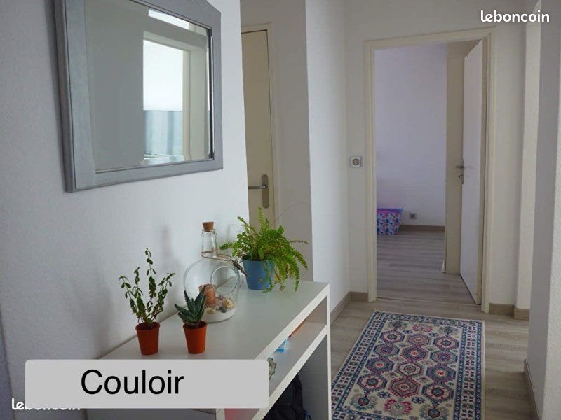 Appartement à louer, 55m², Huningue