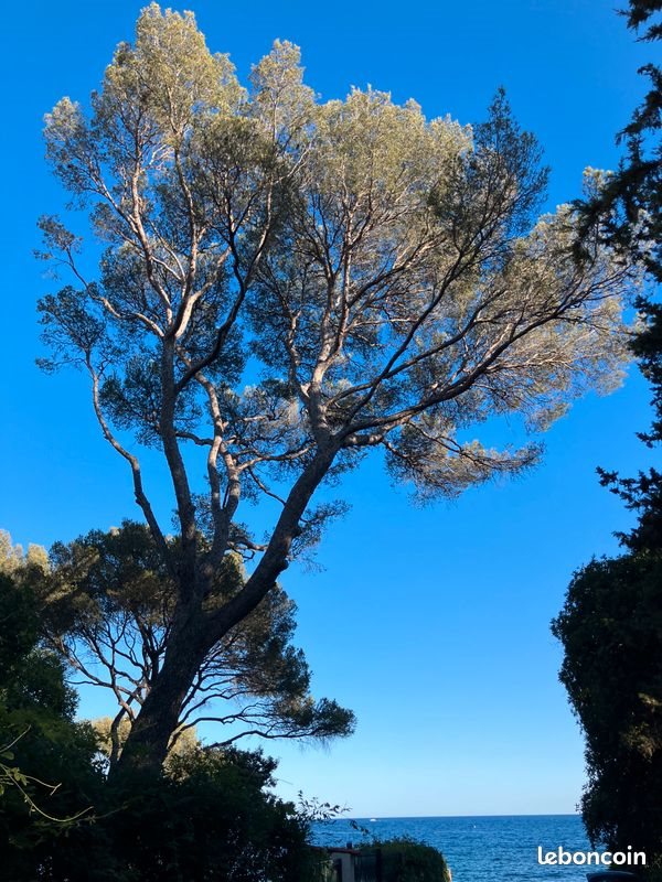 Maison à louer, 130m², Cannes