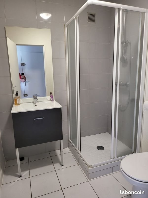 Appartement à louer, 30m², Saint-Etienne