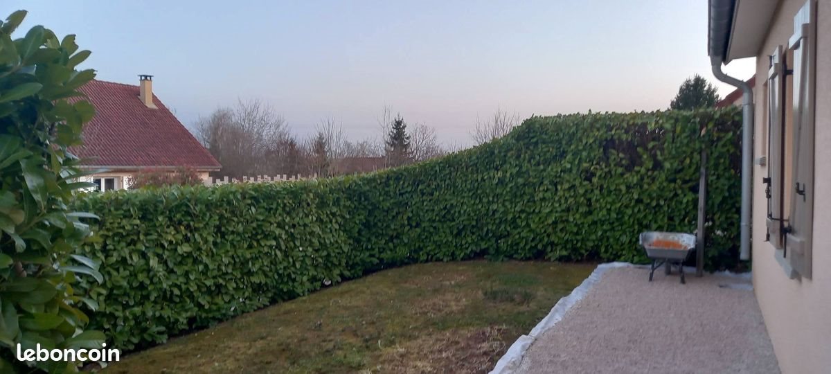 Maison à louer, 93m², Louhans