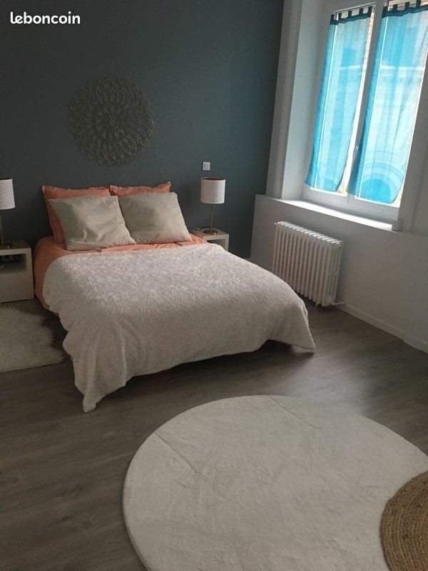 Appartement à louer, 55m², Saint-Etienne