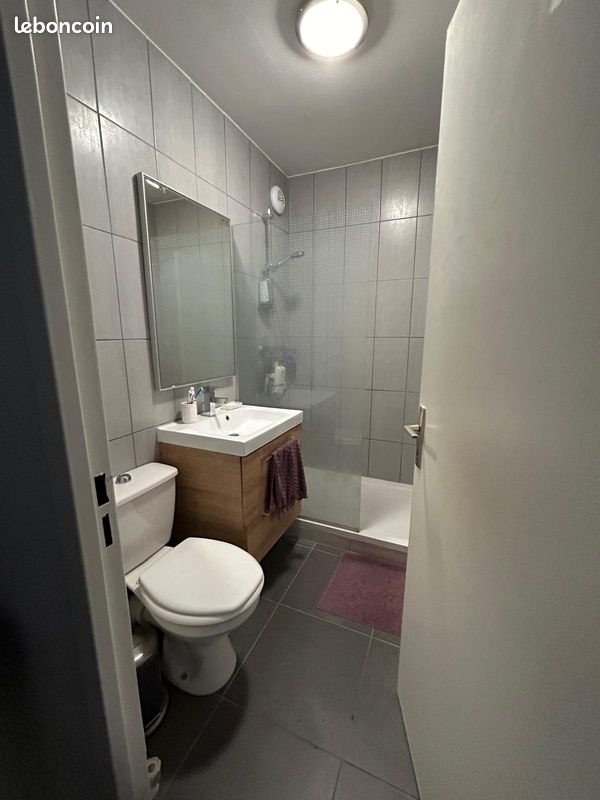 Appartement à vendre, 44m², Saint-Etienne