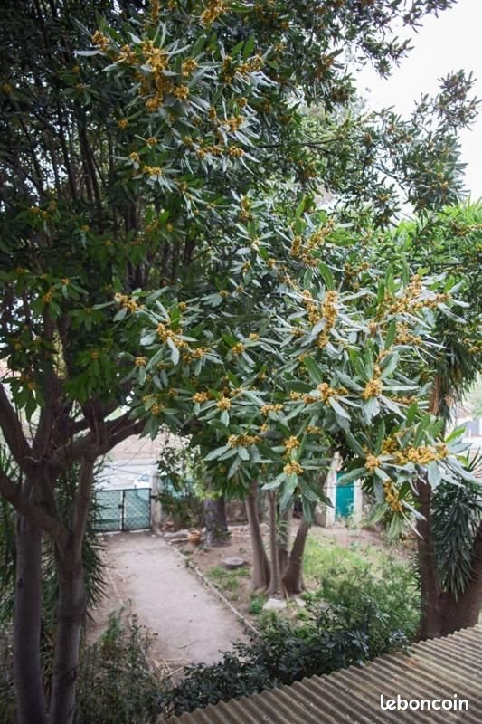 Appartement à vendre, 20m², Toulon