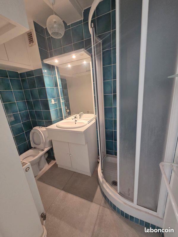 Appartement à louer, 38m², Saint-Etienne