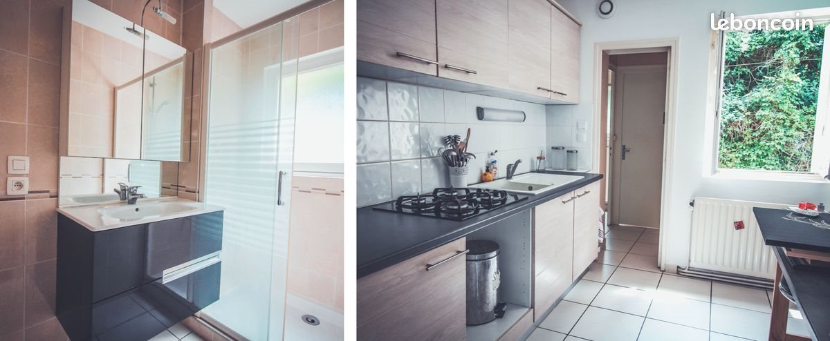 Appartement à louer, 50m², Saint-Galmier