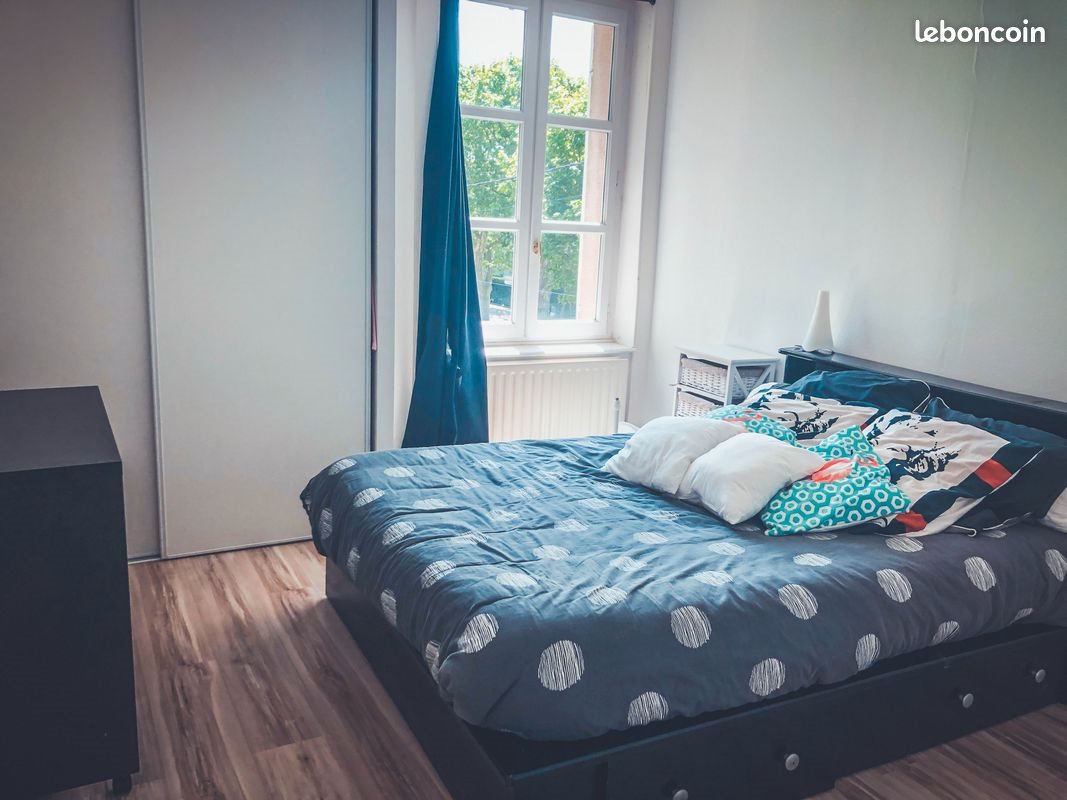 Appartement à louer, 50m², Saint-Galmier