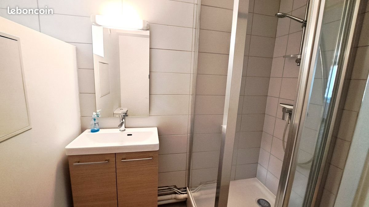Appartement à louer, 21m², Saint-Etienne