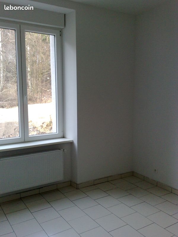 Appartement à louer, 50m², Creutzwald