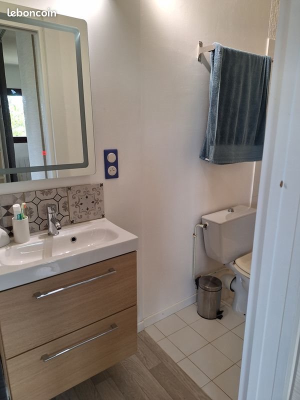 Appartement à louer, 30m², Lacroix-Falgarde