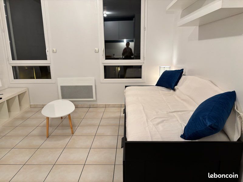Appartement à louer, 28m², Lyon 7ème