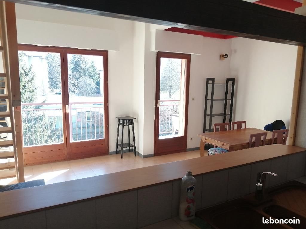 Appartement à louer, 49m², Thyez