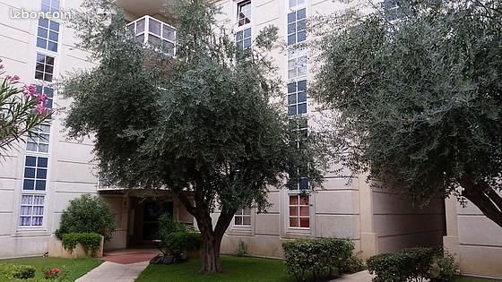 Appartement à louer, 48m², Montpellier