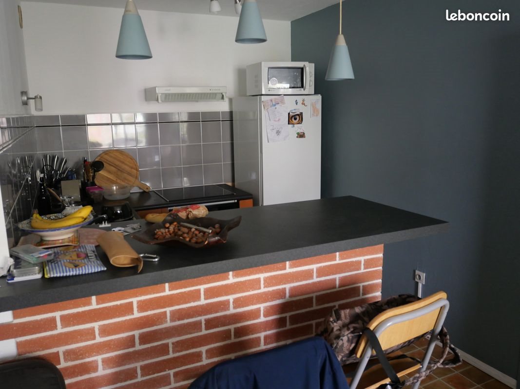 Appartement à louer, 50m², Blagnac
