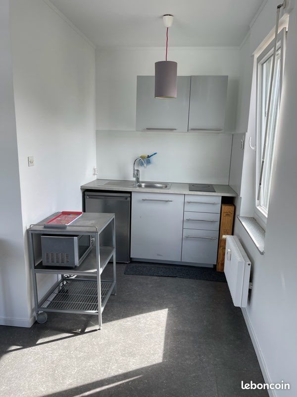 Appartement à louer, 33m², Huningue