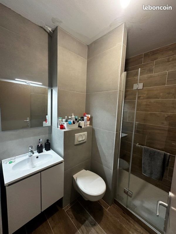 Appartement à louer, 25m², Saint-Etienne