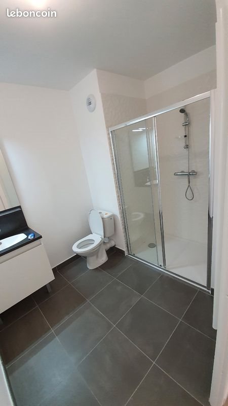 Appartement à louer, 43m², Roubaix