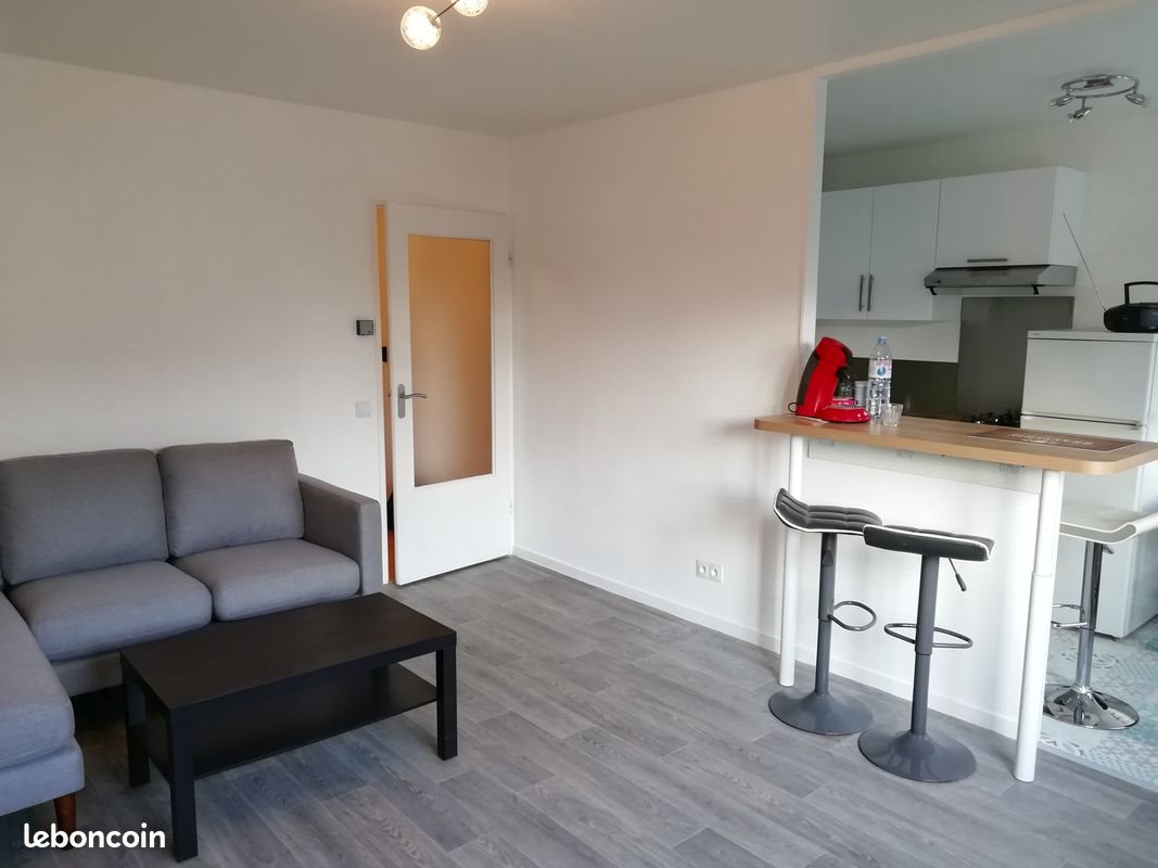 Appartement à louer, 51m², Loos